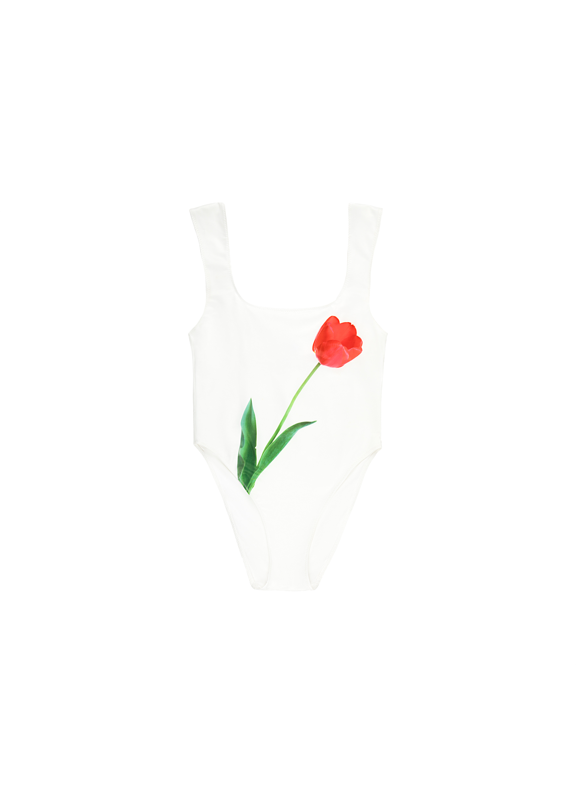 Red Tulip/White