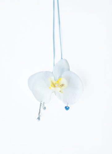 White Orchid